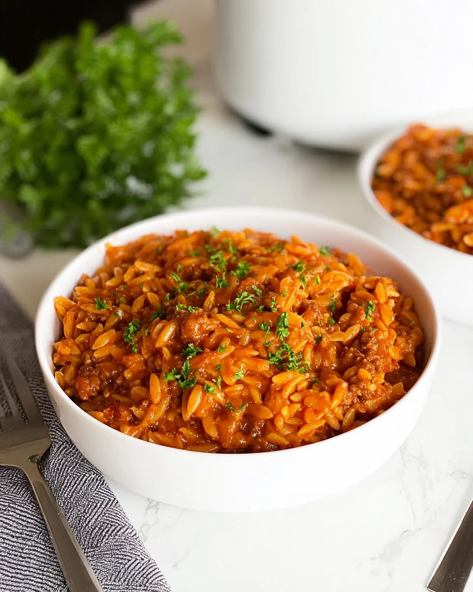 Sloppy Joe Orzo