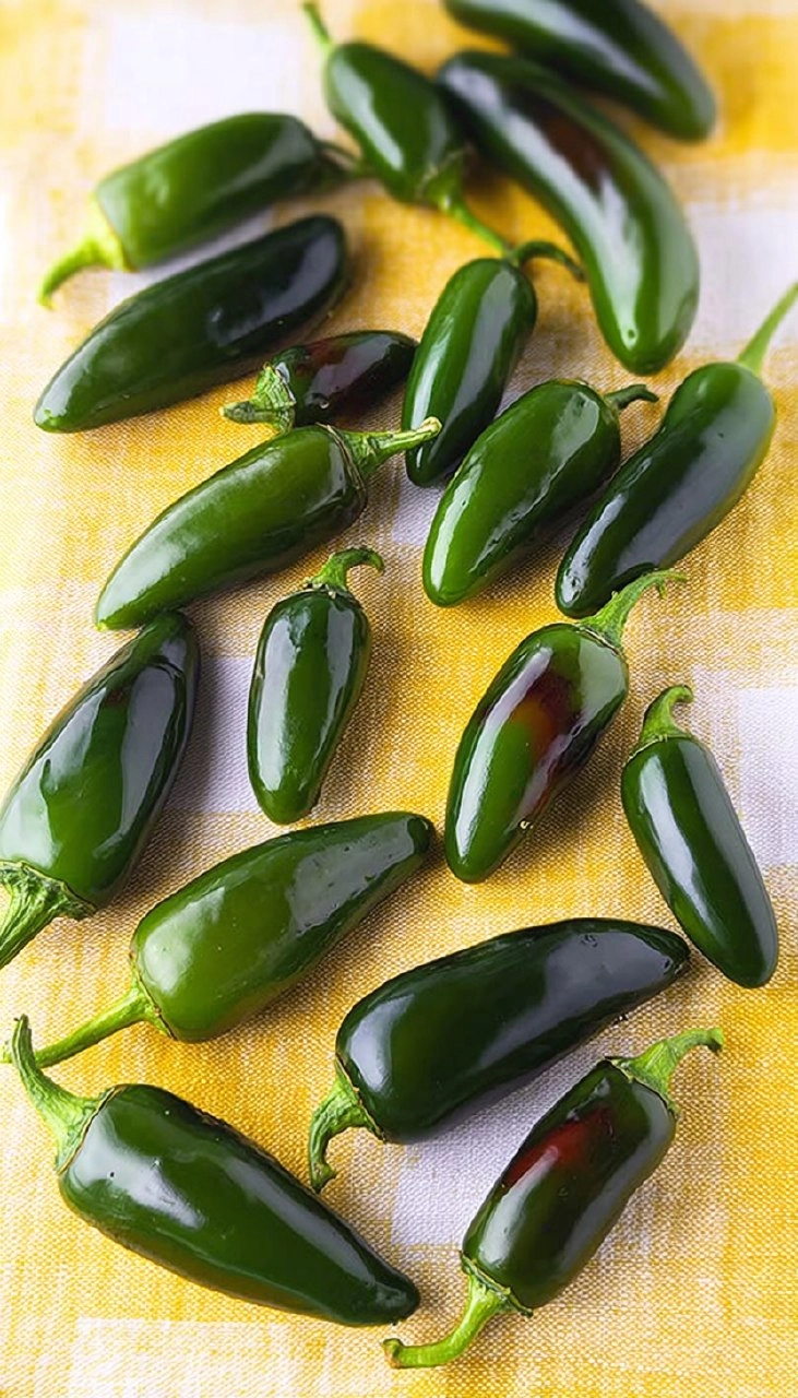 Pickled Jalapeños 7 Pickled Jalapeños