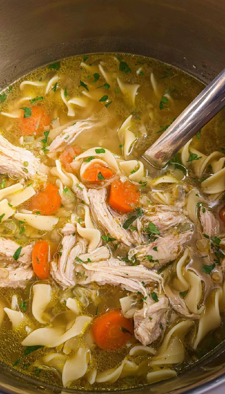 Instant Pot Chicken Noodle Soup